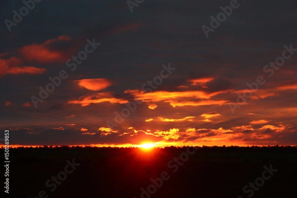Fototapeta Early autumn morning. Dawn. Black strip of the forest. Dark cloudy sky. And only some small clouds and a narrow strip on the horizon are painted by the sun in red tones.