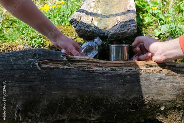 Fototapeta Tourists collect spring water in the alpine meadows of the Carpathians, Ukraine. Real life. Clean drinking water in a natural environment. Copy space.
