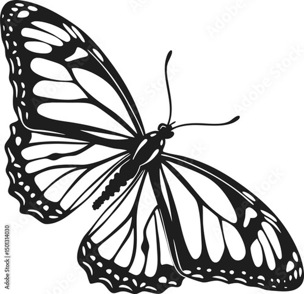 Fototapeta a-stylized-depiction-of-a-butterfly-with-a-black