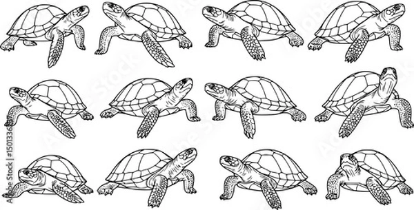 Fototapeta Turtle silhouette vector flat graphic illustration
