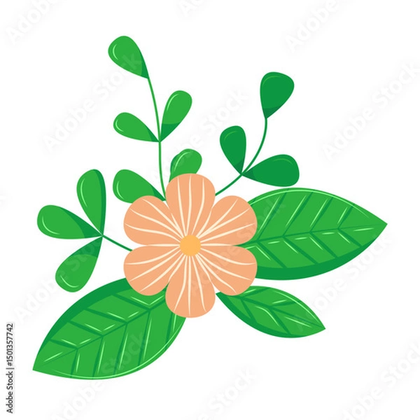 Fototapeta Botanical element. Floral elements, wildflower, leaves and herb, plants, foliage. Vectors for decor, website, wedding card and shop.