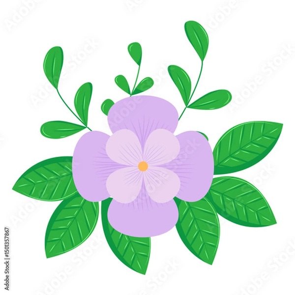 Fototapeta Botanical element. Floral elements, wildflower, leaves and herb, plants, foliage. Vectors for decor, website, wedding card and shop.