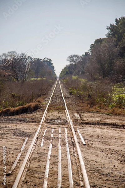Obraz railway in the countryside