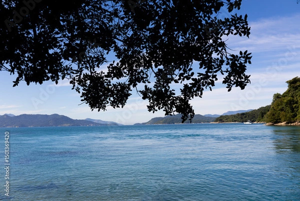 Obraz tree on the lake