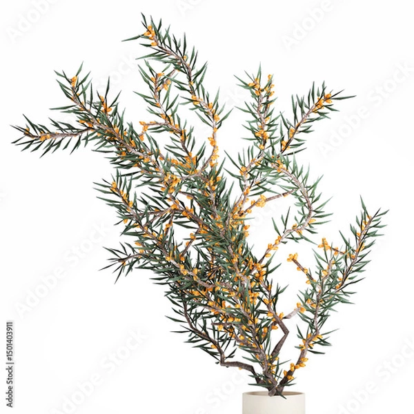 Fototapeta 3D illustration Small Minimalistic Bouquet Vase Olive Branches isolated on white background