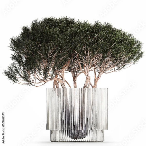 Fototapeta 3D illustration Lush beautiful bouquet of cherry blossom branches with green leaves in a modern glass vase sakura flowers isolated on white background