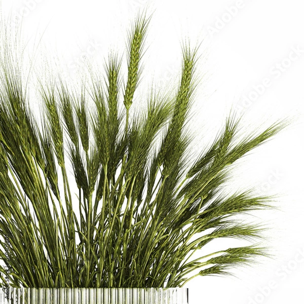 Fototapeta 3D illustration Beautiful summer designer bouquet of wild flowers in a modern glass vase with wheat tufts isolated on white background