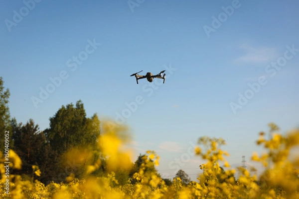 Fototapeta Dron, operator drona podczas pracy. Nagrywanie filmów z lotu ptaka dronem. Dron w rolnictwie. Filmy z góry. 