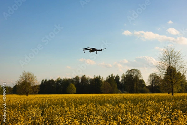 Fototapeta Dron, operator drona podczas pracy. Nagrywanie filmów z lotu ptaka dronem. Dron w rolnictwie. Filmy z góry. 