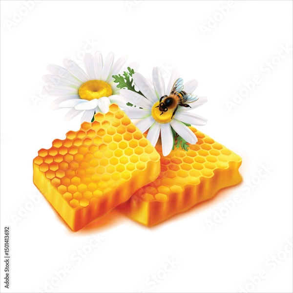Obraz Realistic illustration of fresh honeycomb with melted honey