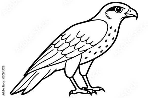 Obraz Falcon line art outline clean vector