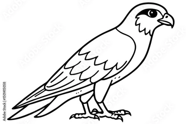 Obraz Falcon line art outline clean vector
