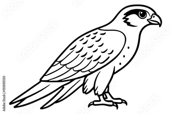 Obraz Falcon line art outline clean vector