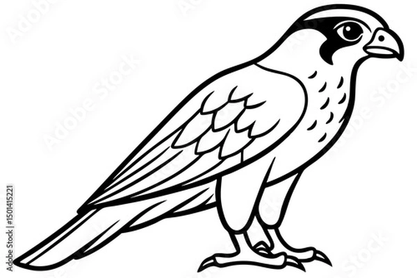 Obraz Falcon line art outline clean vector