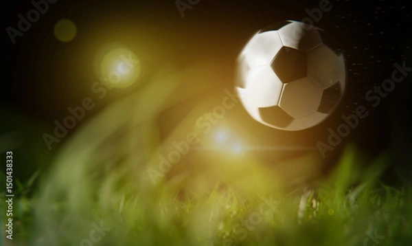 Fototapeta Soccer ball and soccer field on black sky,  3D illustration