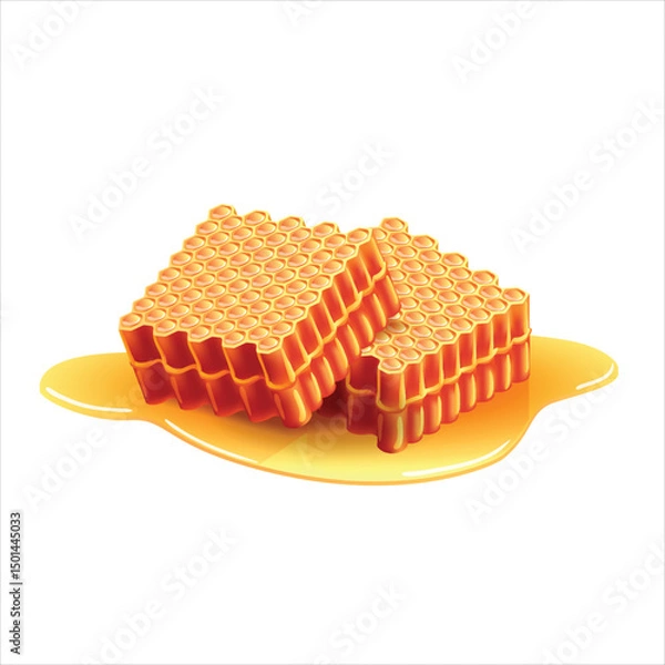 Obraz Realistic illustration of fresh honeycomb with melted honey