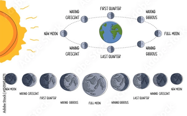 Obraz Lunar Orbit and Eclipse Stages Illustration in flat style on white background. Lunar Shadow Path Diagram. All phases of the moon visible from earth in the northern hemisphere