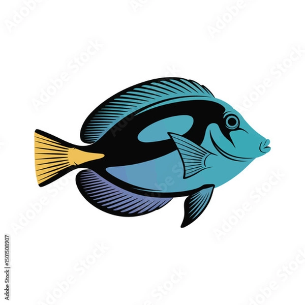 Fototapeta Vibrant Blue Tang fish in a dynamic silhouette, on a clean white background