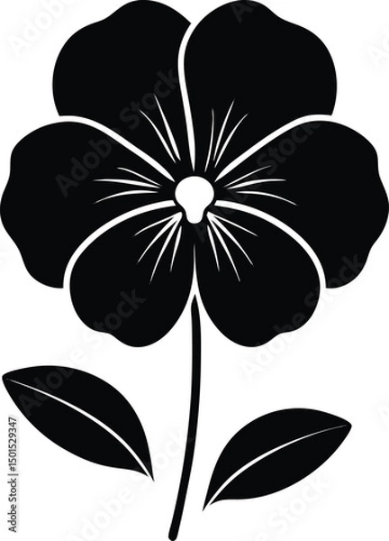 Obraz black and white flowers