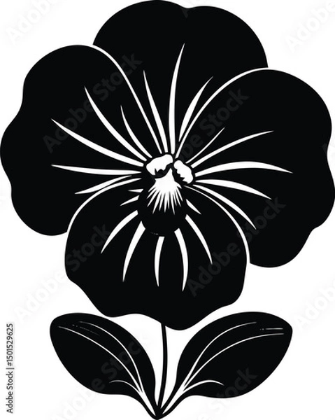 Obraz black and white flower