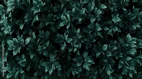 Obraz Emerald Canopy: Lush Deep Green Foliage Texture