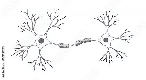 Fototapeta Synapse Neuron Communication: A Detailed Illustration of Neural Transmission