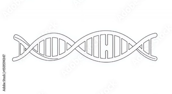 Fototapeta DNA Double Helix: A Simple Line Drawing Illustration