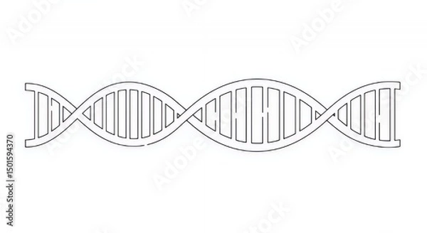 Fototapeta DNA Double Helix: A Simple Line Illustration