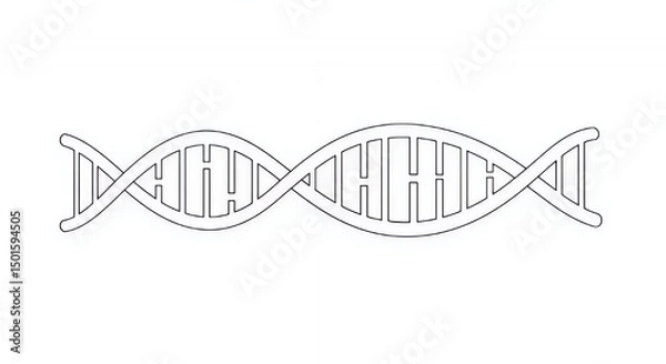 Fototapeta DNA Double Helix: A Simple Line Drawing