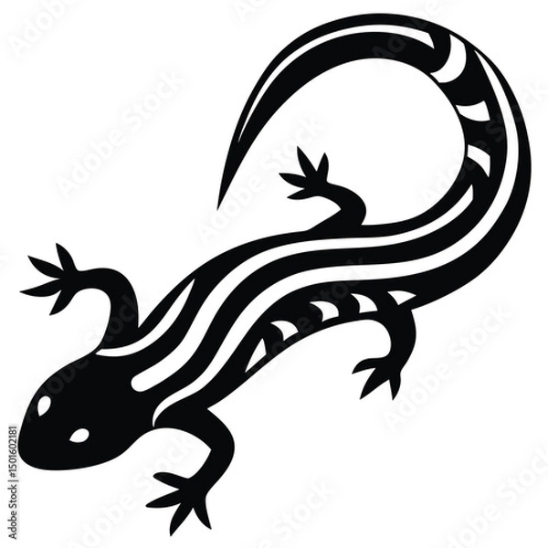Fototapeta salamander vector