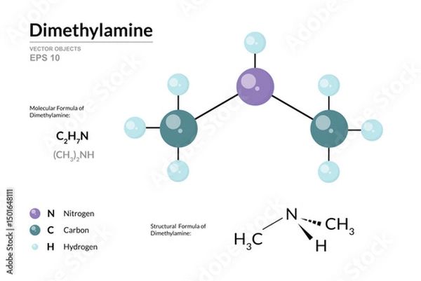 Fototapeta Dimethylamine. Structural Chemical Formula and 3d Model of Molecule. C2H7N. Atoms with Color Coding. Vector graphic Illustration for educational materials, scientific articles, and presentations