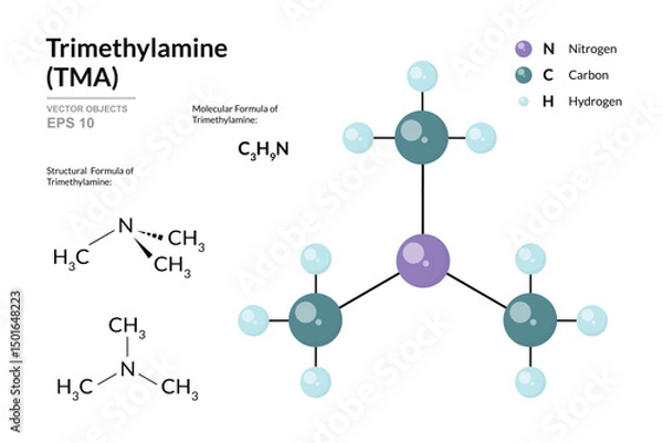 Fototapeta Trimethylamine. TMA. Structural Chemical Formula and 3d Model of Molecule. C3H9N. Atoms with Color Coding. Vector graphic Illustration for educational materials, scientific articles, and presentations