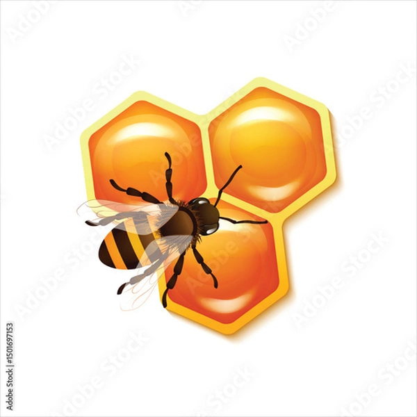 Obraz Honey bees perched in honeycombs