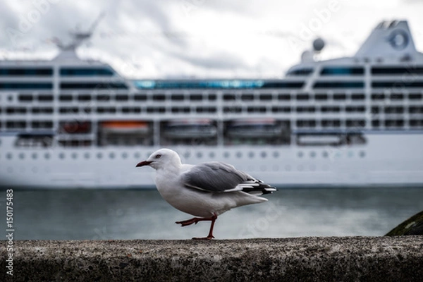 Fototapeta Bird with boat
