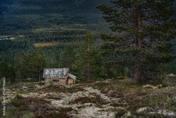 Fototapeta A weathered log cabin rests on a mountain slope, surrounded by purple heath, overlooking a boreal pine forest and serene ponds in Idre Dalarna, Sweden, on a summer evening.
