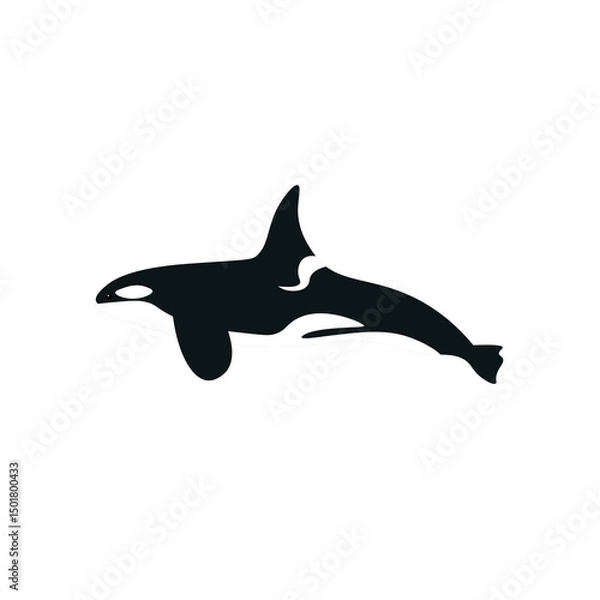 Obraz Killer Whale