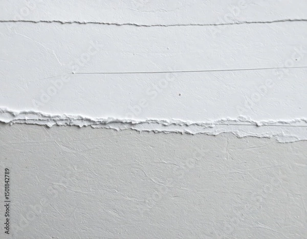 Fototapeta Torn paper edges create a textured minimalist and abstract white background