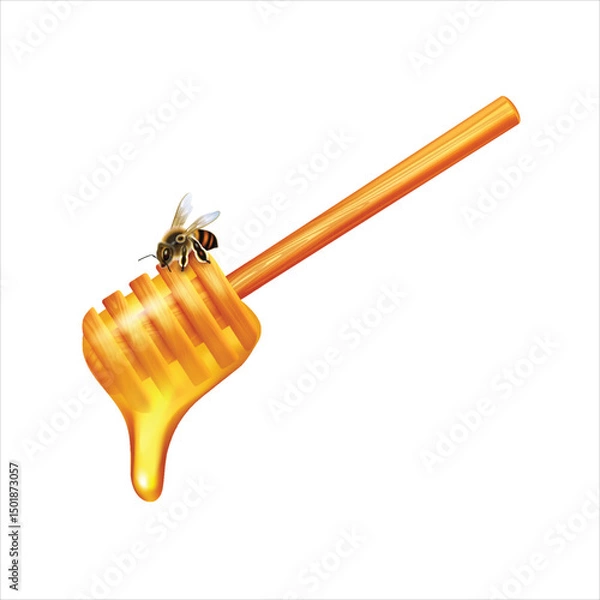 Obraz Honey dipper with melted honey drops