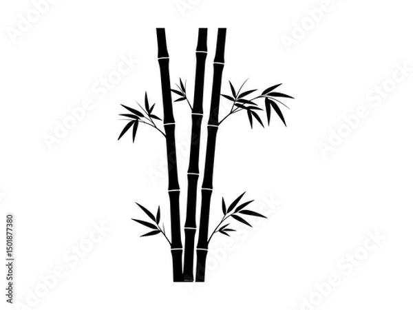 Obraz bamboo vector illustration
