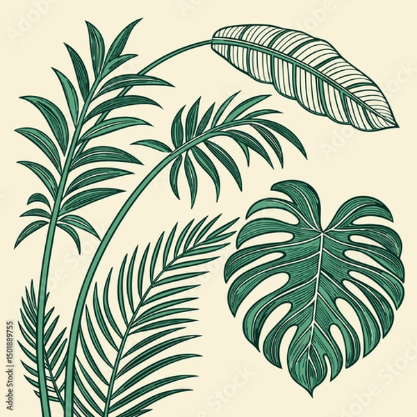 Fototapeta Set of tropical leaves and palm fronds vector illustration.