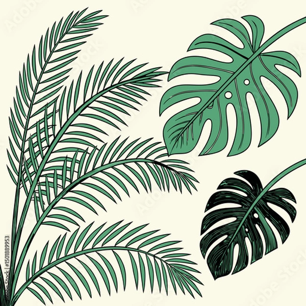 Fototapeta Set of tropical leaves and palm fronds vector illustration.
