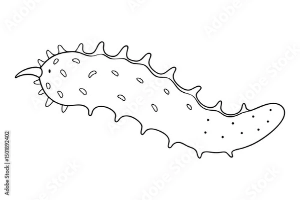 Obraz Minimalist Sea Cucumber Marine Life Sketch