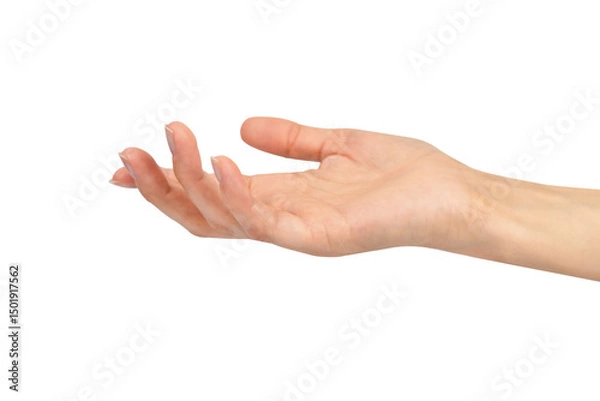 Fototapeta Young woman's hand isolated on white background. Close-up.