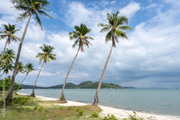 Obraz Palm trees at Laem Haad Beach, Koh Yao Yai, Thailand