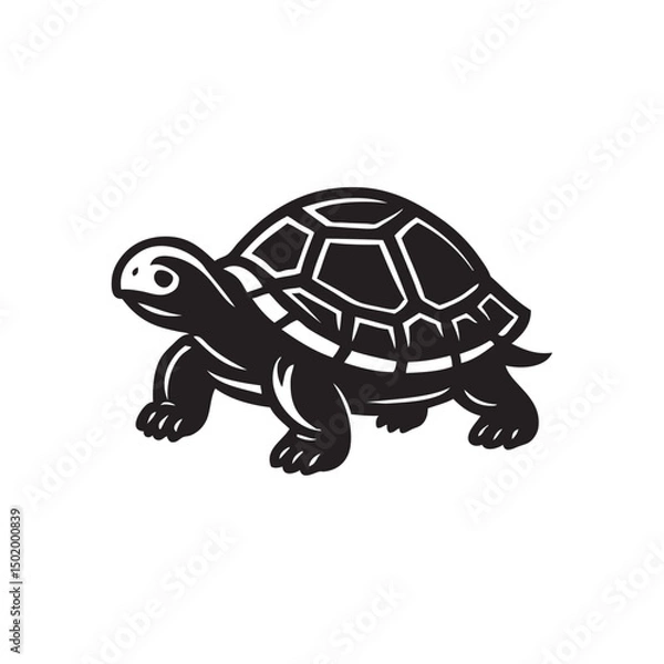 Obraz turtle on a white background vector