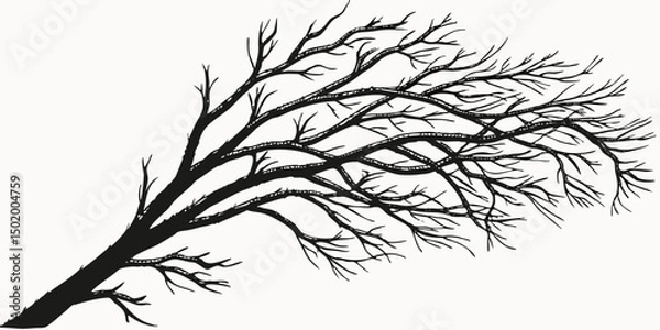 Obraz Vector art of Bare tree branches silhouette isolated on transparent background