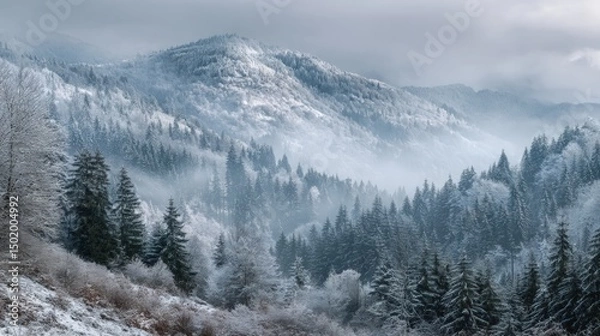 Fototapeta Snow-covered mountains with evergreen trees and a train traveling along tracks in daylight.