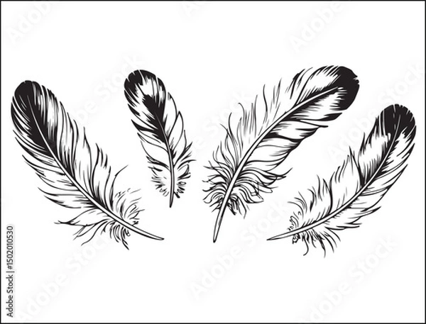 Obraz Four Black and White Hand Drawn Feathers Illustration