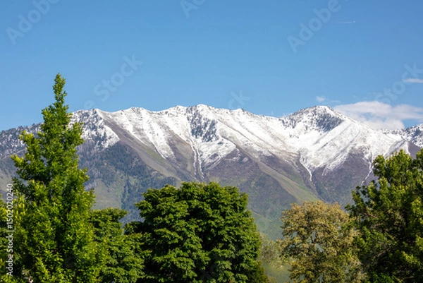 Fototapeta Mountain with snow and trees in Utah