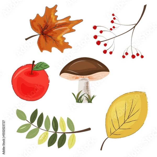Fototapeta A collection of autumn themed elements on a white background. Autumn leaves, red apple, mushroom, branch with red berries. For seasonal designs, DIY crafts, invitations and nature illustrations.Vector